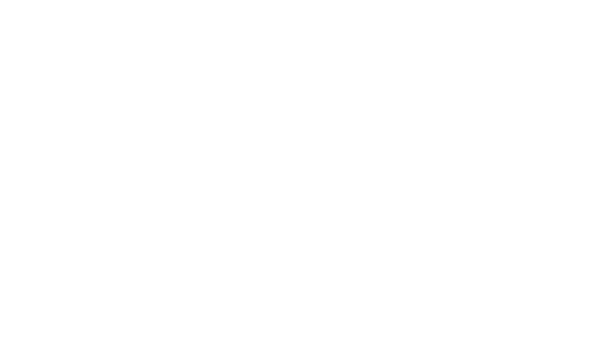 Brio
